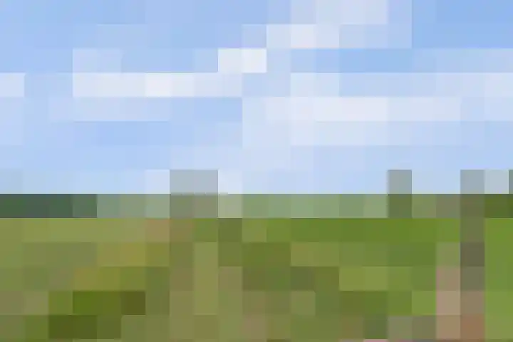 Provincialeweg Noord 126 Almkerk thumbnail 42