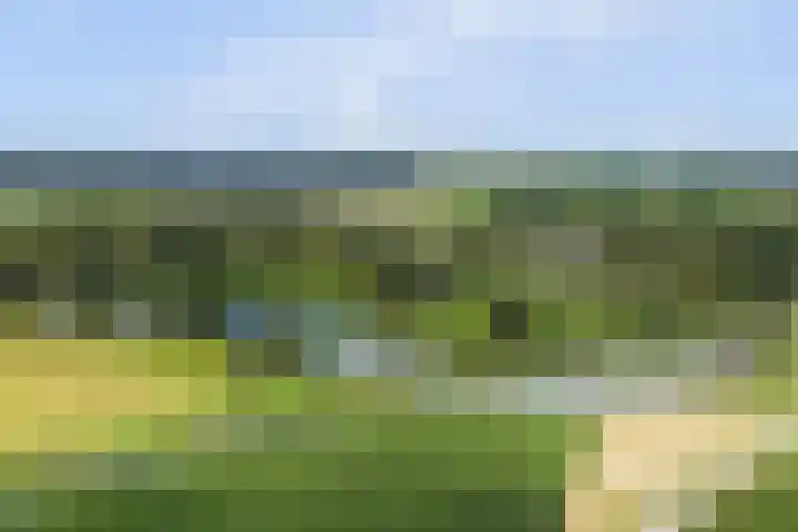 Provincialeweg Noord 126 Almkerk thumbnail 47