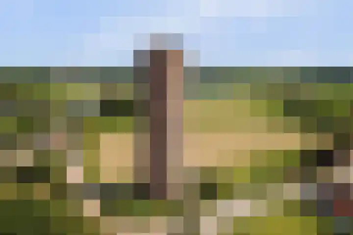 Provincialeweg Noord 126 Almkerk thumbnail 48