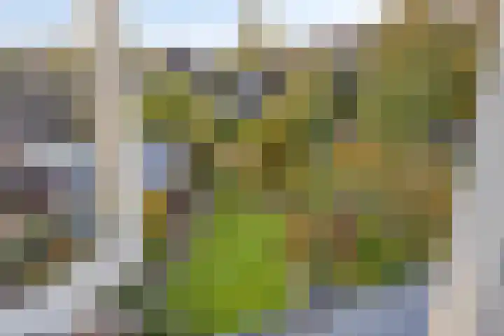Provincialeweg Noord 13 b Almkerk thumbnail 45