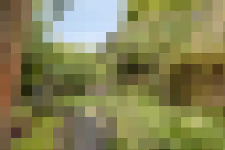 Provincialeweg Noord 13 b Almkerk thumbnail 54
