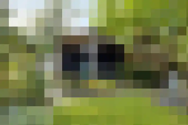 Provincialeweg Noord 13 b Almkerk thumbnail 55