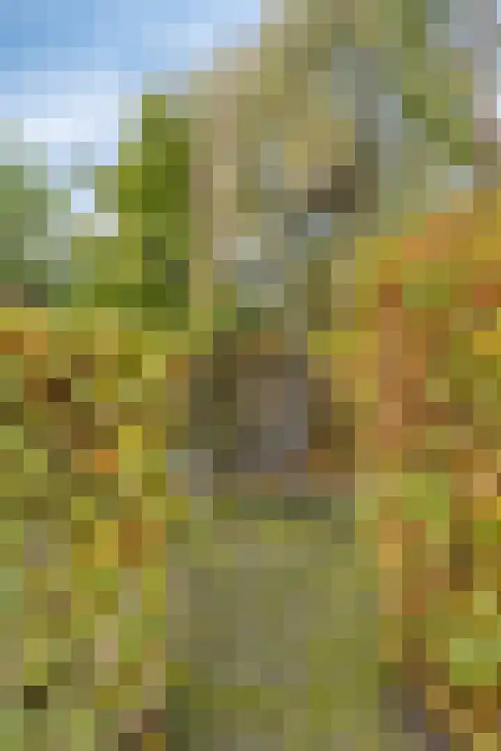Provincialeweg Noord 13 b Almkerk thumbnail 56