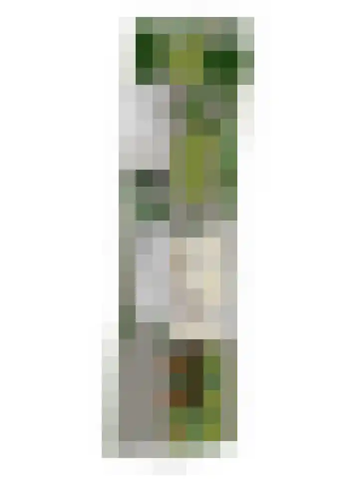 Provincialeweg Noord 13 b Almkerk thumbnail 69
