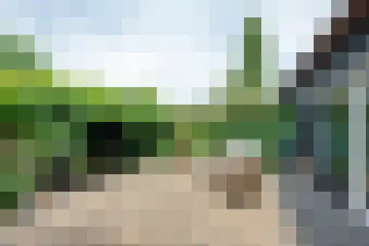 Provincialeweg Noord 19 b Almkerk thumbnail 37
