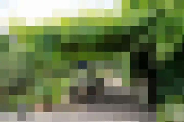 Provincialeweg Noord 19 b Almkerk thumbnail 39