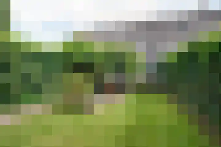 Provincialeweg Noord 19 b Almkerk thumbnail 41