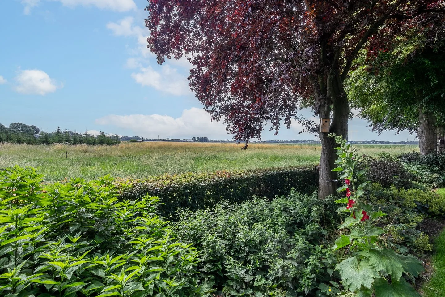Provincialeweg Noord 51 Almkerk thumbnail 24
