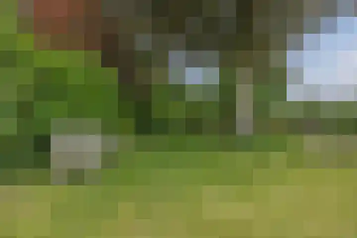 Provincialeweg Oost 44 Haastrecht thumbnail 31