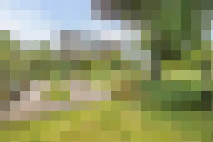 Provincialeweg Oost 44 Haastrecht thumbnail 32