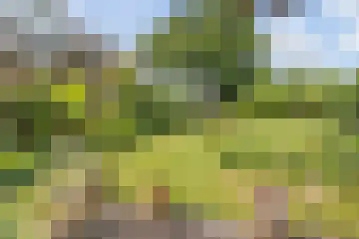 Provincialeweg Oost 44 Haastrecht thumbnail 33