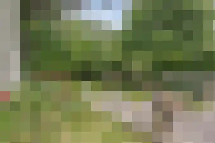 Provincialeweg Oost 44 Haastrecht thumbnail 34