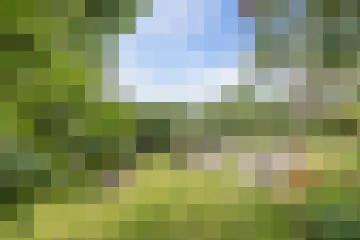 Provincialeweg Oost 44 Haastrecht thumbnail 35