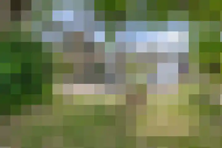 Provincialeweg Oost 44 Haastrecht thumbnail 36