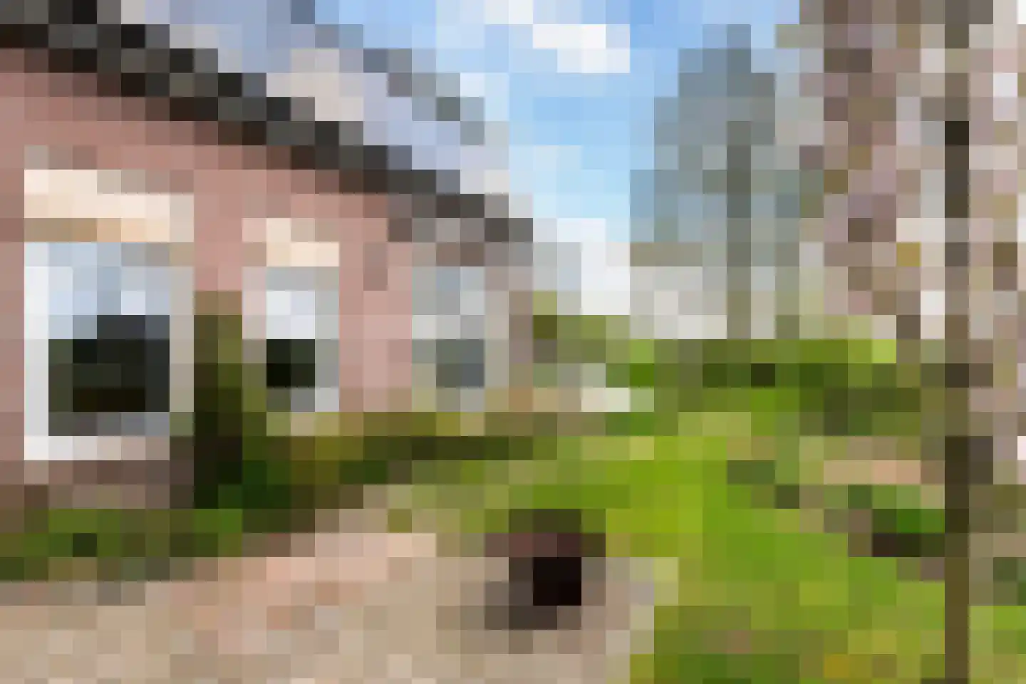 Provincialeweg Oost 53 Haastrecht thumbnail 28