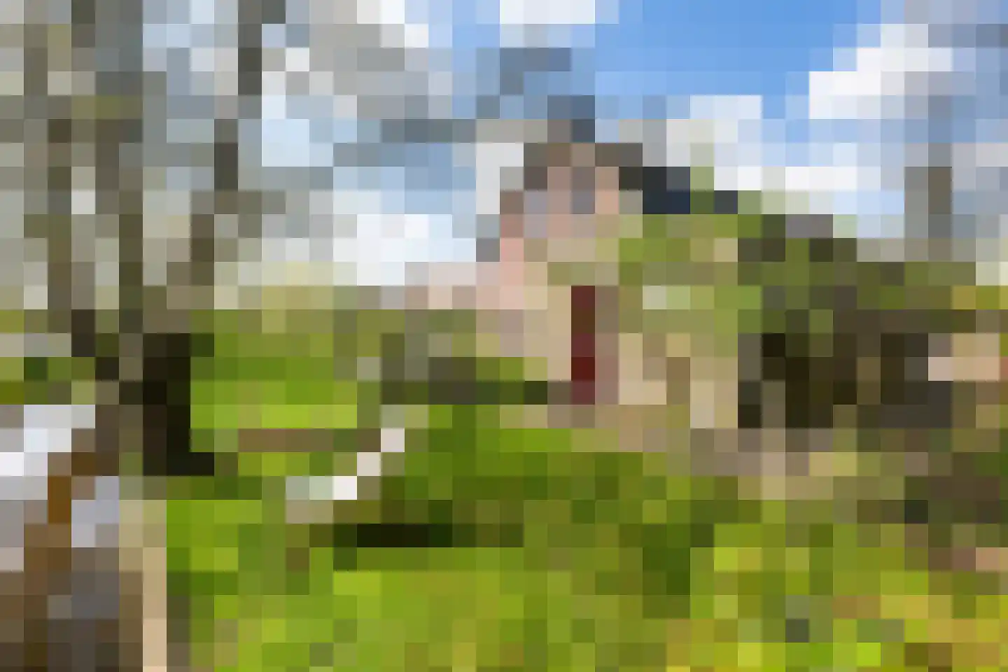 Provincialeweg Oost 53 Haastrecht thumbnail 32