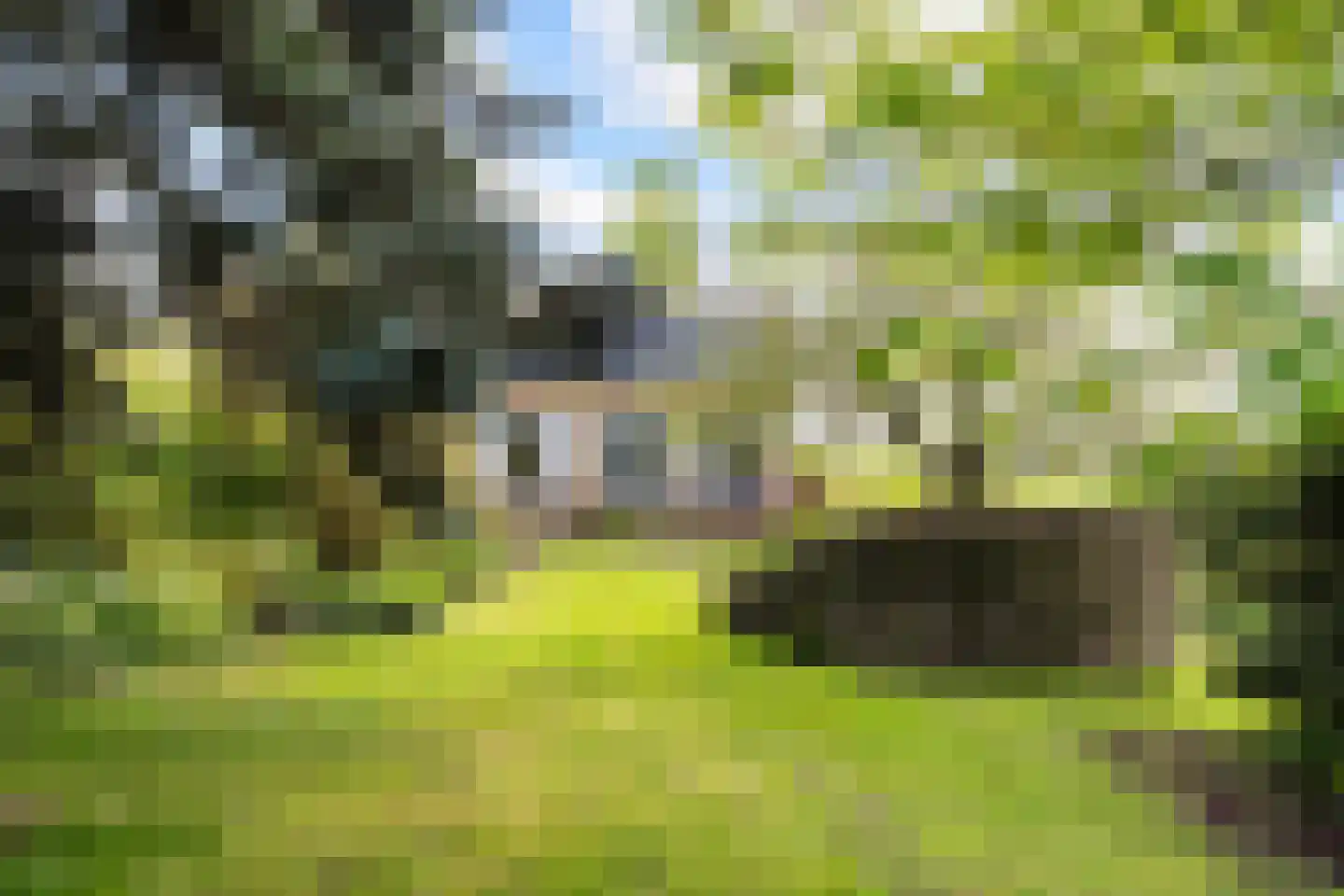 Provincialeweg Oost 53 Haastrecht thumbnail 35