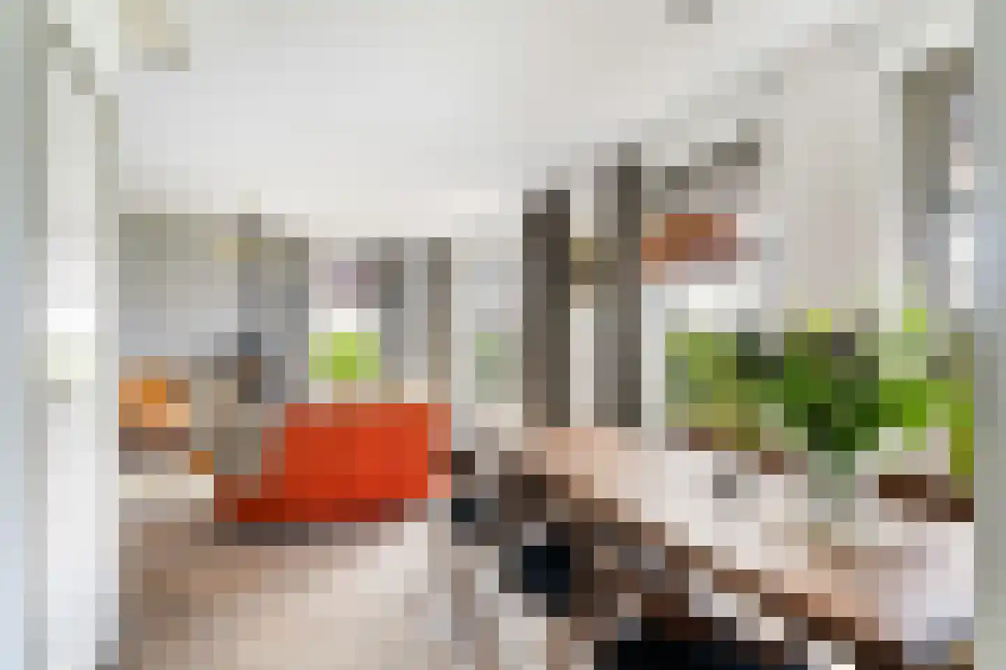 Provincialeweg Oost 53 Haastrecht thumbnail 7
