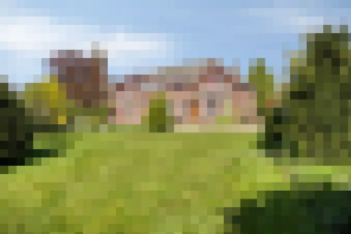 Provincialeweg Oost 56 Haastrecht thumbnail 19