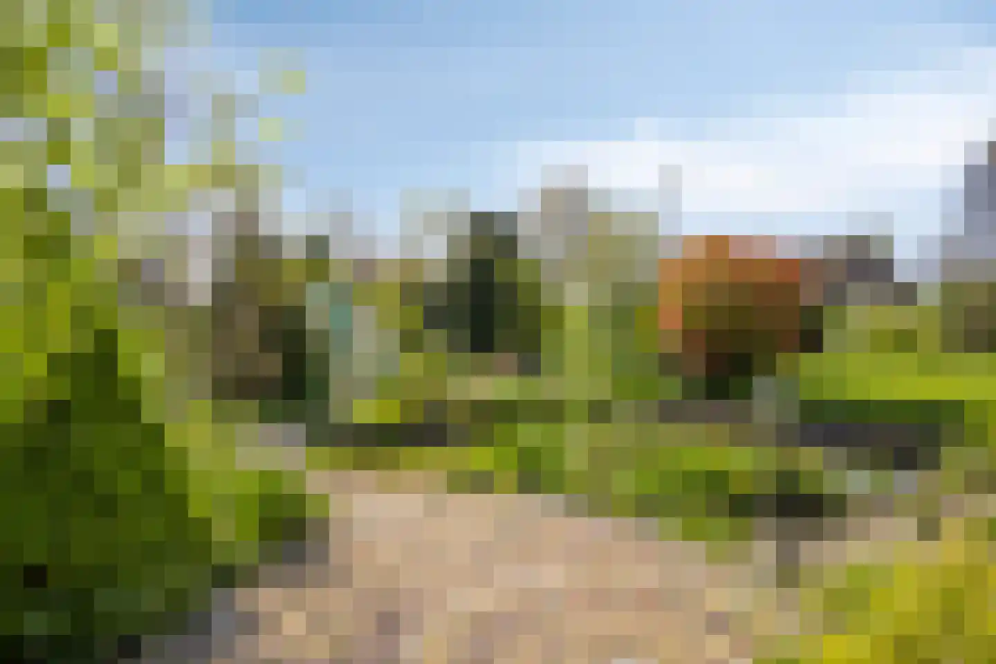 Provincialeweg Oost 56 Haastrecht thumbnail 21