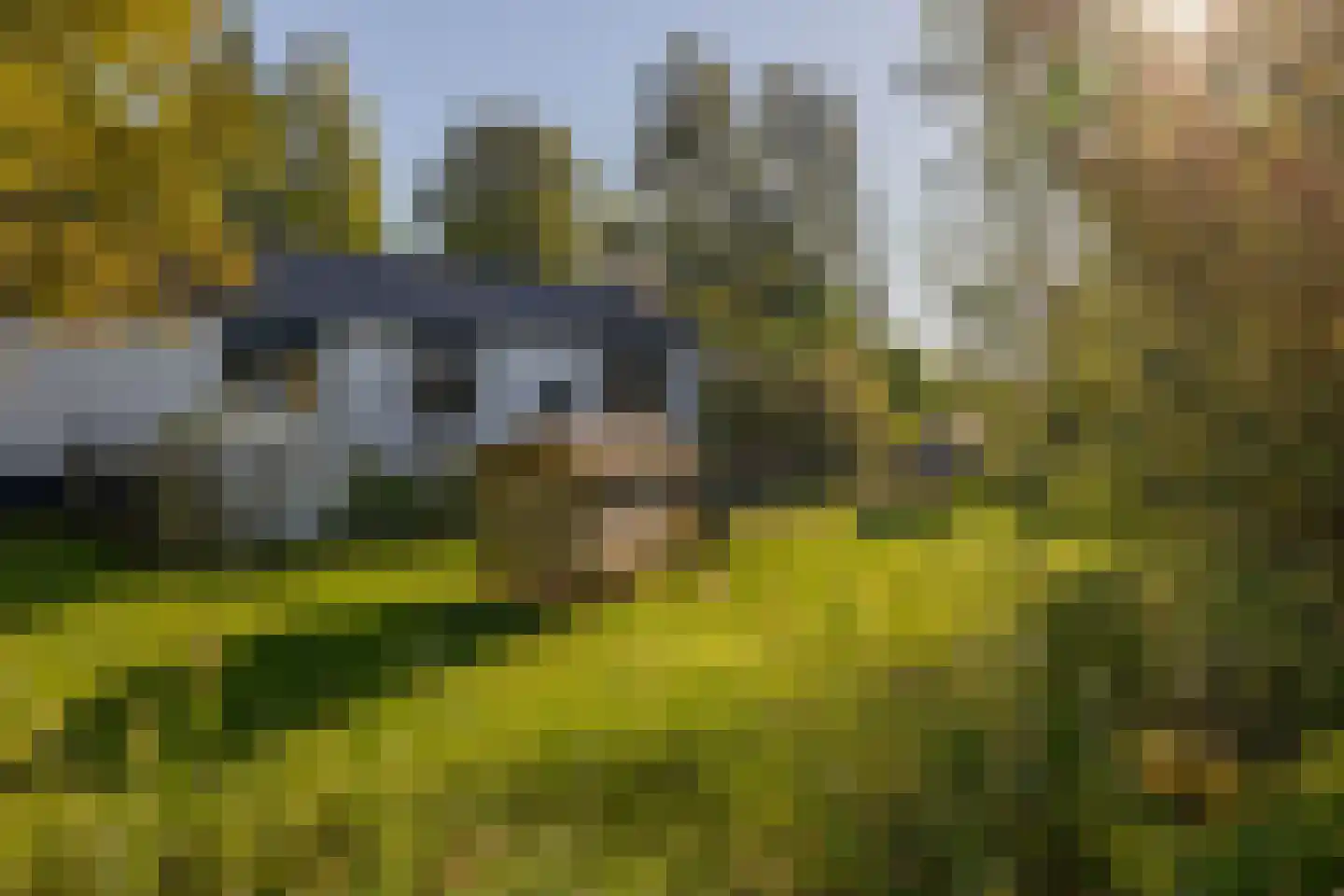 Provincialeweg Oost 64 Haastrecht thumbnail 23