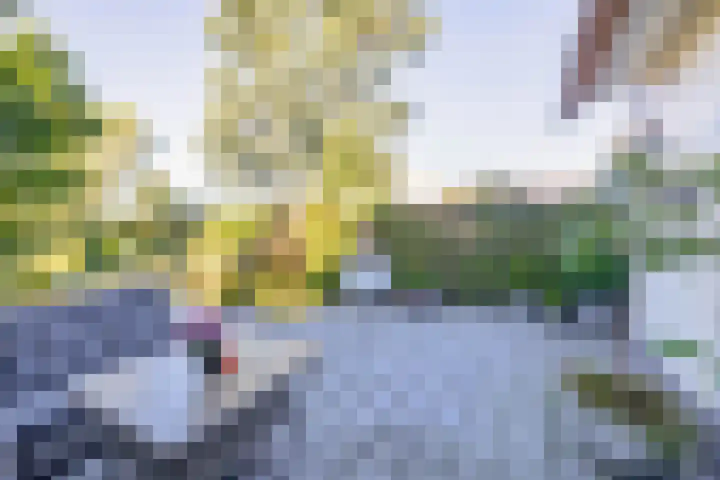 Provincialeweg Oost 64 Haastrecht thumbnail 30