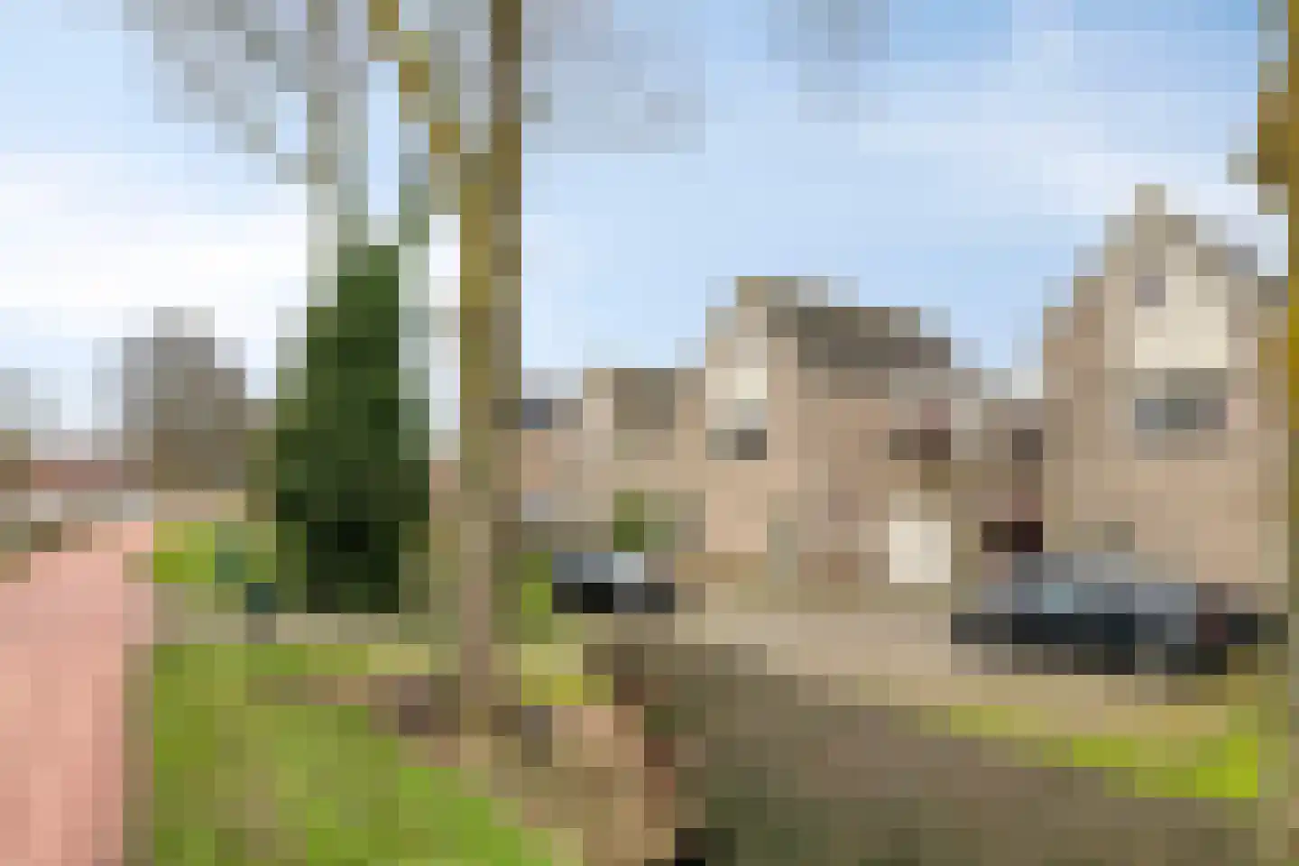 Provincialeweg Oost 94 a Haastrecht thumbnail 33