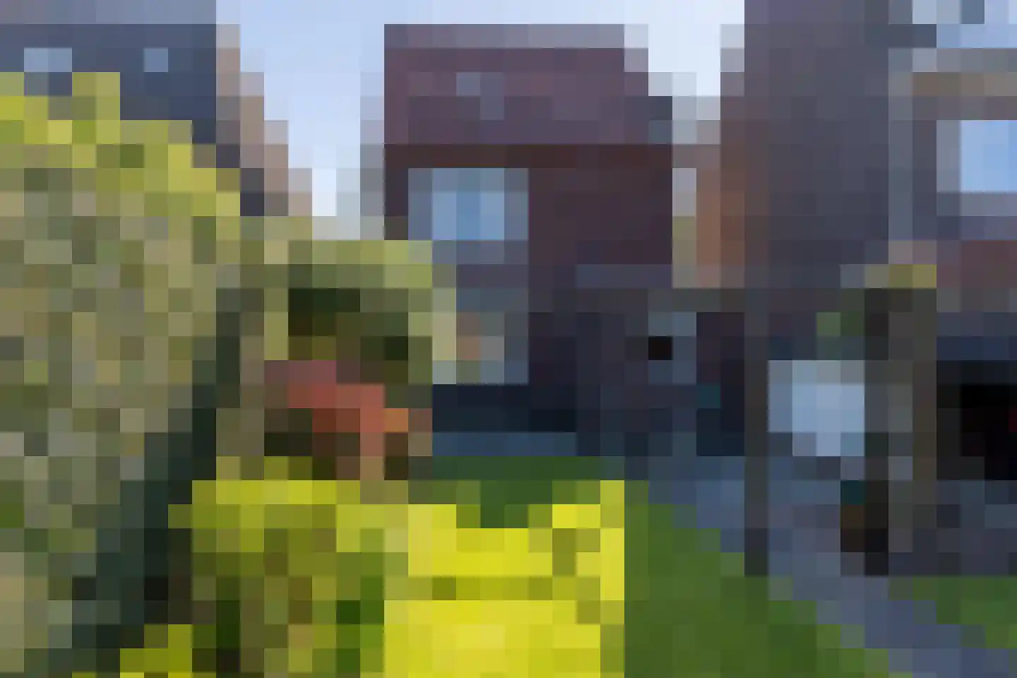 Provincialeweg Zuid 17 Oirsbeek thumbnail 39