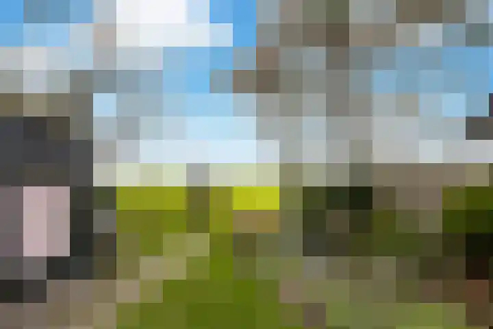 Provincialeweg Zuid 26 Almkerk thumbnail 4