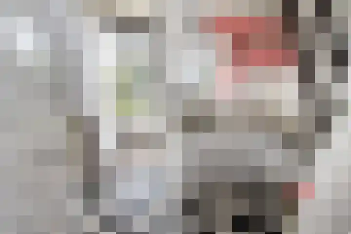 Provincialeweg Zuid 26 Almkerk thumbnail 5