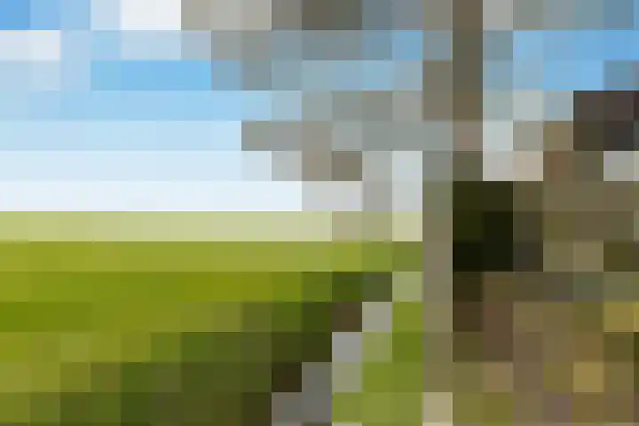 Provincialeweg Zuid 26 Almkerk thumbnail 8