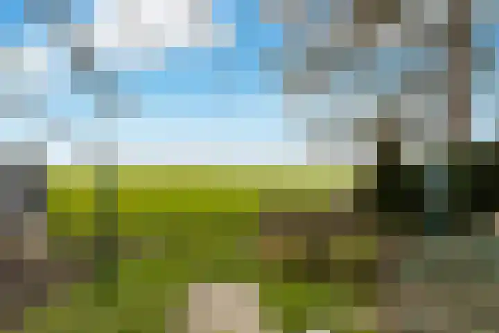 Provincialeweg Zuid 26 Almkerk thumbnail 9