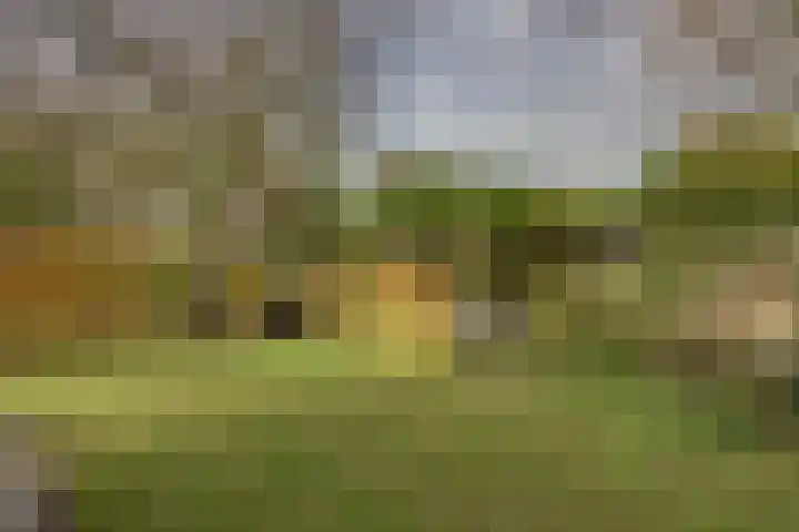 Provincialeweg Zuid 42 Almkerk thumbnail 38