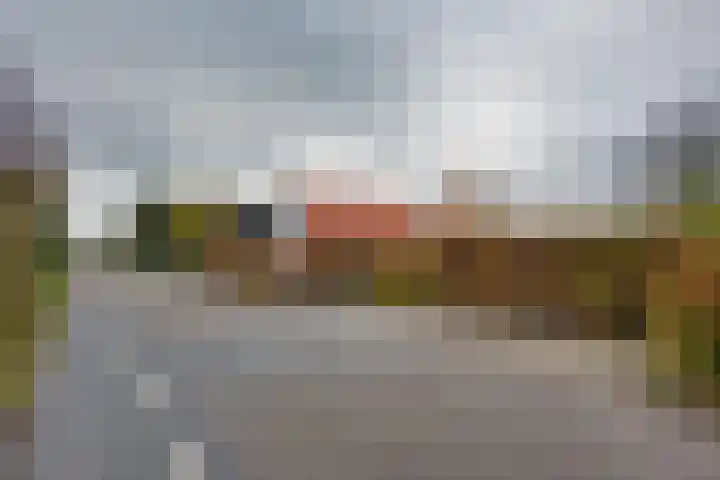 Provincialeweg Zuid 42 Almkerk thumbnail 40