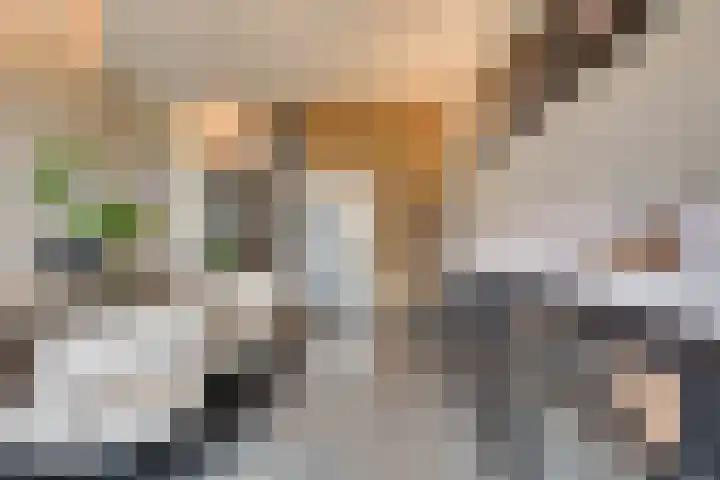 Provincialeweg Zuid 42 Almkerk thumbnail 9
