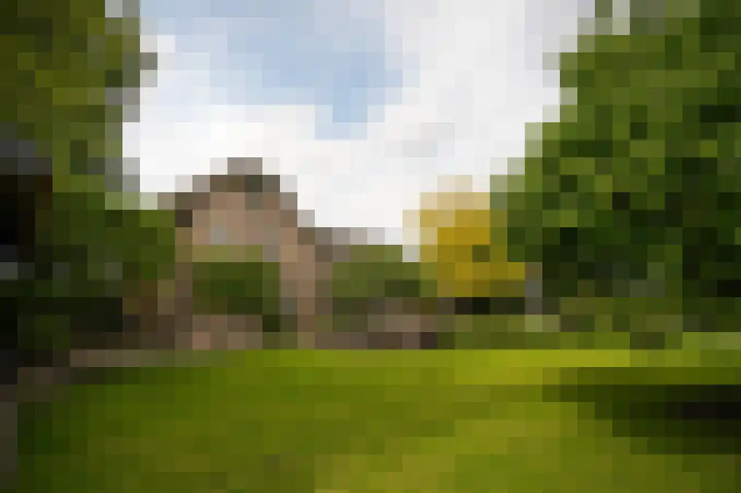 Provincialeweg Zuid 65 Almkerk thumbnail 39