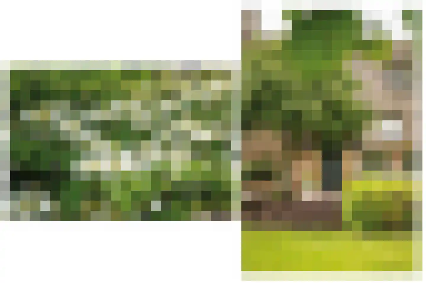 Provincialeweg Zuid 65 Almkerk thumbnail 42
