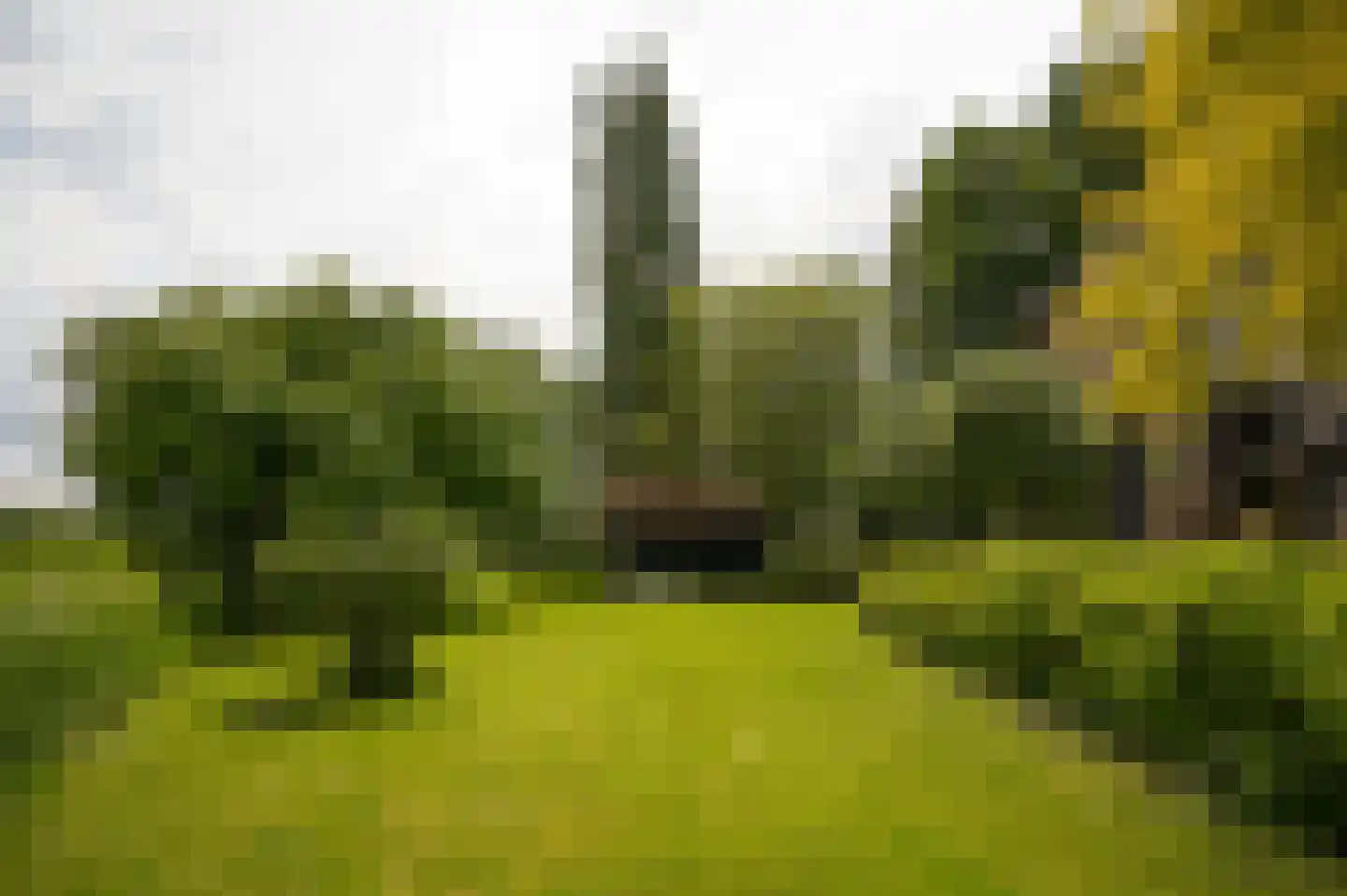 Provincialeweg Zuid 65 Almkerk thumbnail 45