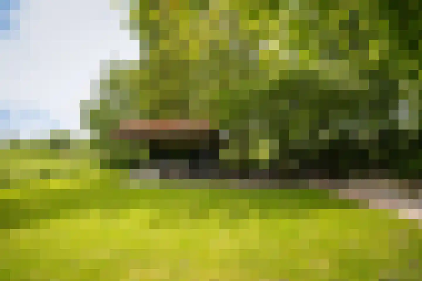 Provincialeweg Zuid 65 Almkerk thumbnail 46