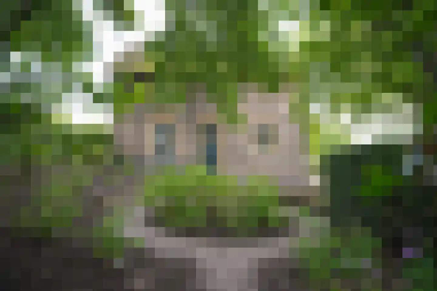 Provincialeweg Zuid 65 Almkerk thumbnail 50