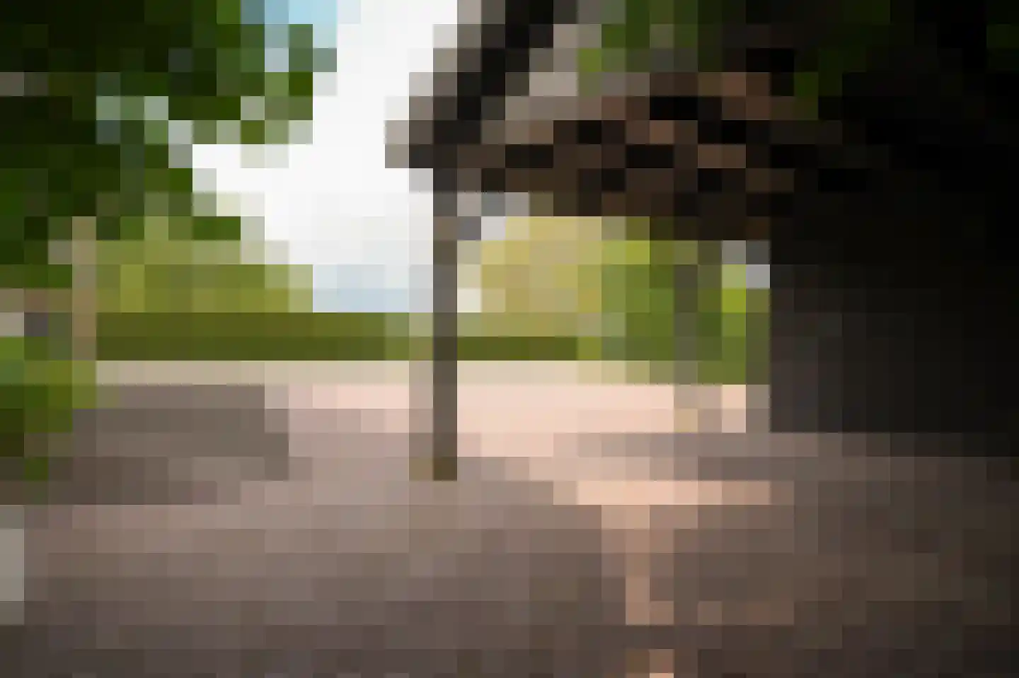 Provincialeweg Zuid 65 Almkerk thumbnail 51
