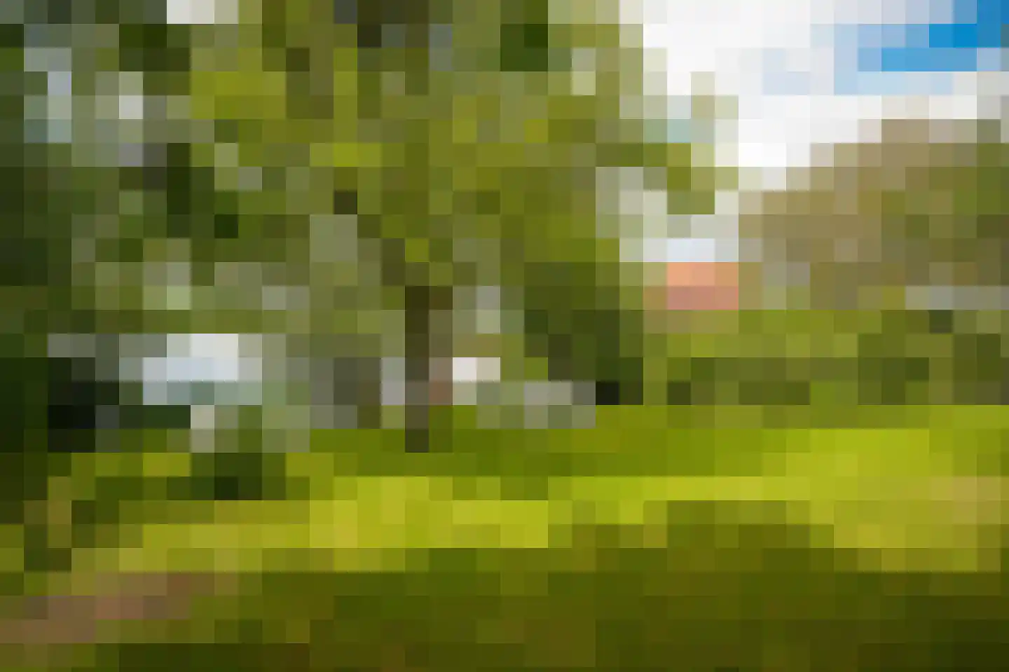 Provincialeweg Zuid 65 Almkerk thumbnail 53