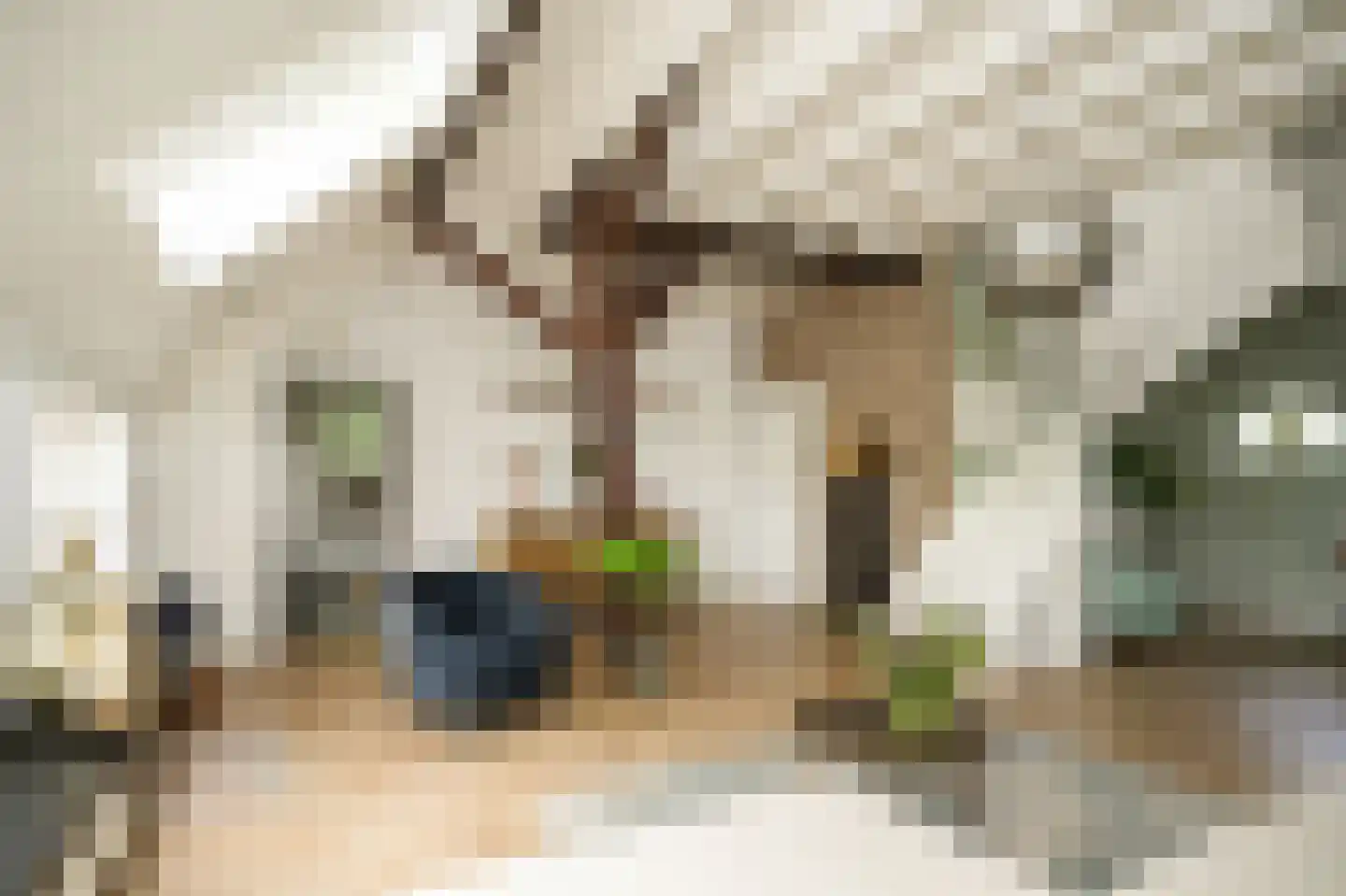 Provincialeweg Zuid 65 Almkerk thumbnail 6