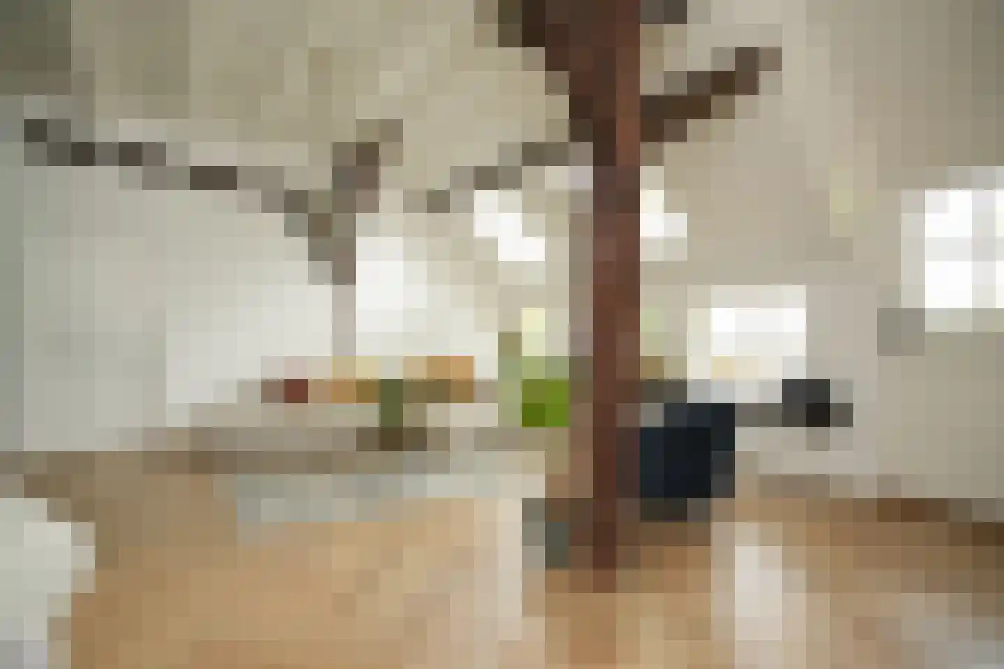 Provincialeweg Zuid 65 Almkerk thumbnail 9