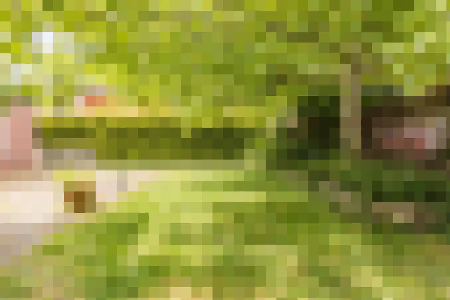 Provincialeweg Zuid 80 Oirsbeek thumbnail 51