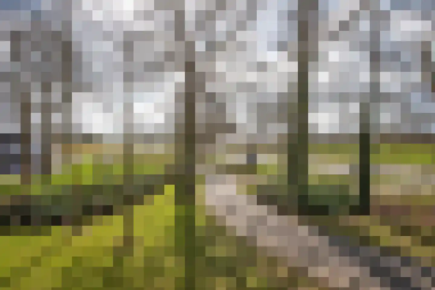 Provincialeweg Zuna 4 Zuna thumbnail 39