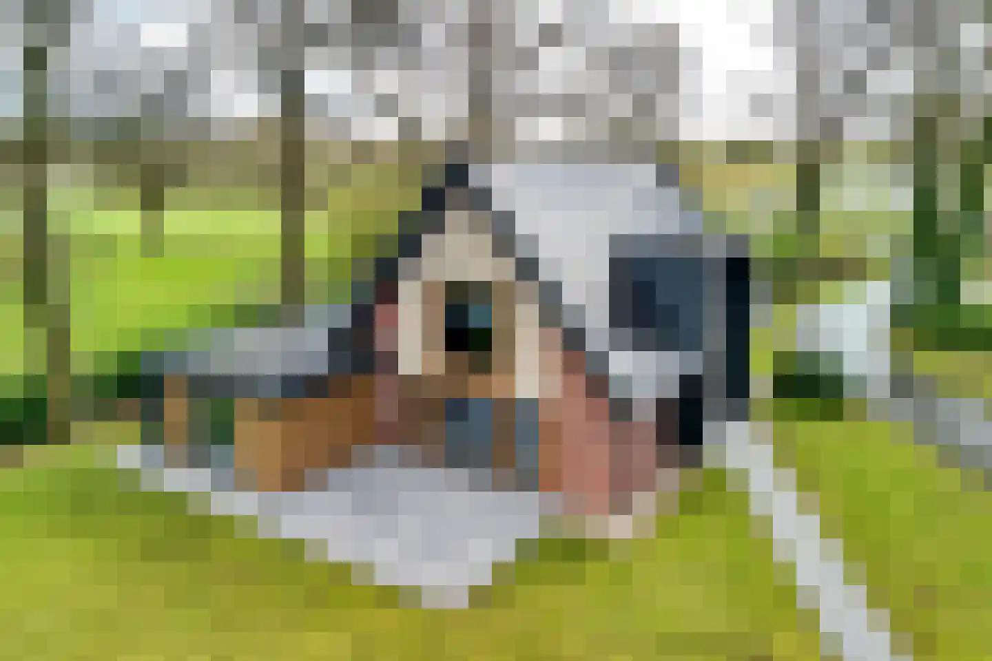 Provincialeweg Zuna 4 Zuna thumbnail 4