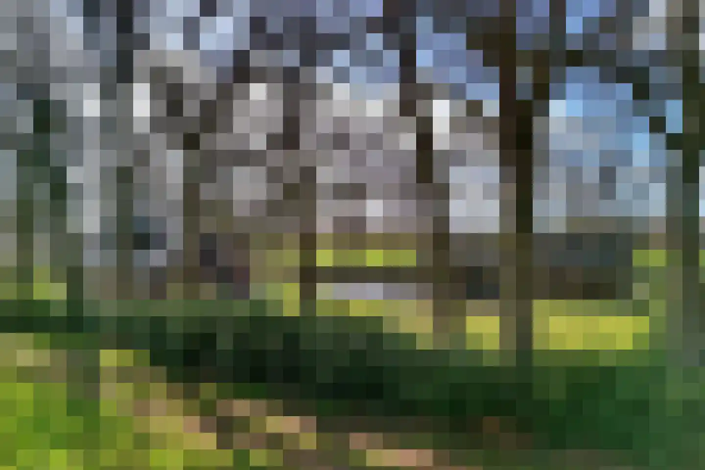 Provincialeweg Zuna 4 Zuna thumbnail 5