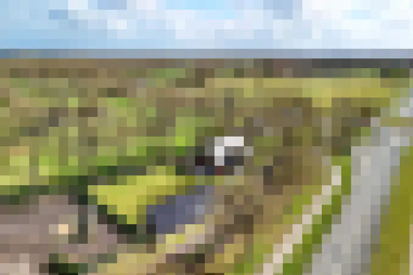 Provincialeweg Zuna 4 Zuna thumbnail 6