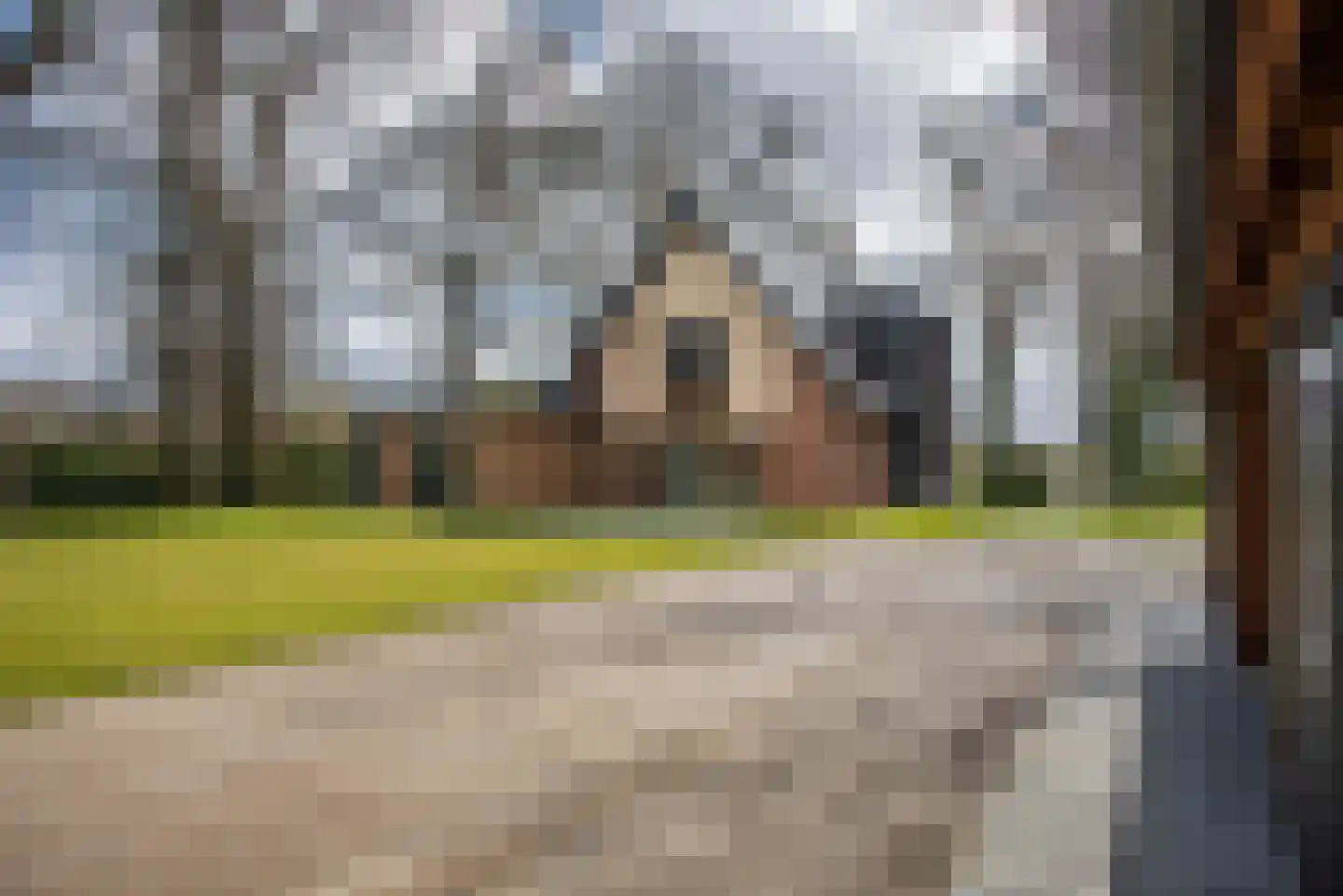 Provincialeweg Zuna 4 Zuna thumbnail 9